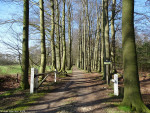 Landgoed Havezathe Het Everloo